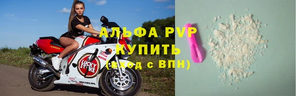 spice Бородино