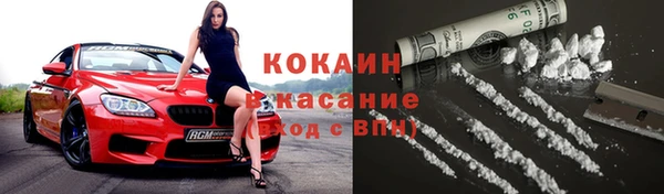 spice Бородино
