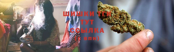 spice Бородино