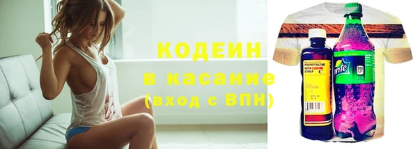 spice Бородино