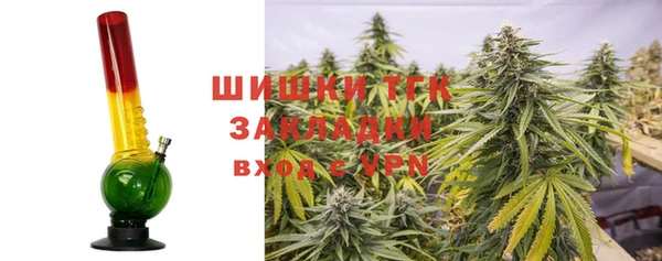 гидра Бугульма