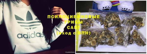 spice Бородино